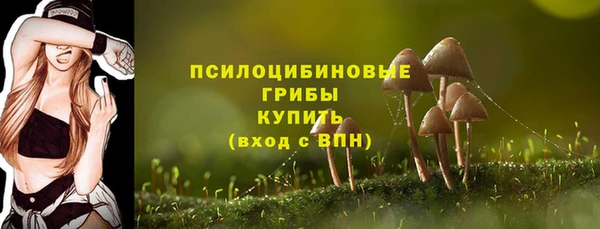 apvp Гусиноозёрск