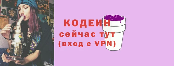 apvp Гусиноозёрск