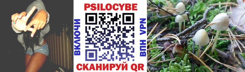 Псилоцибиновые грибы мицелий Нарьян-Мар